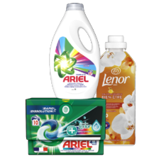 Alle Lenor of Ariel